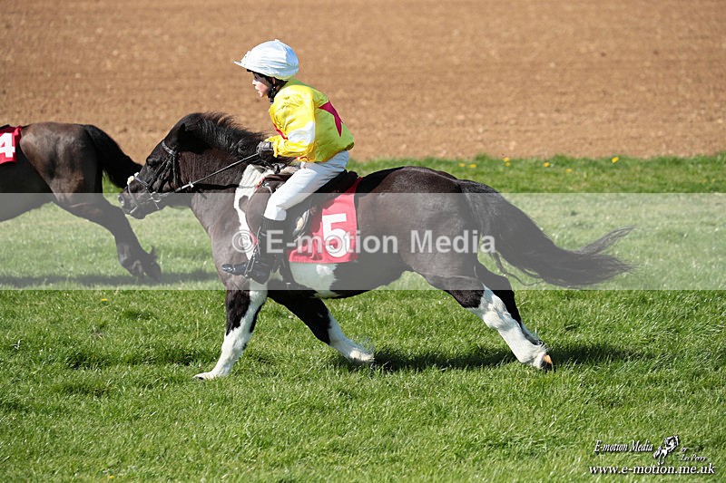 Shet 060426 206 - Shetland Pony Racing Paxford Races Easter Mon 06/04/26