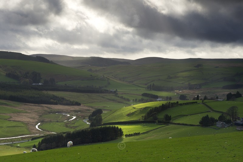 Staylittle II - Wales