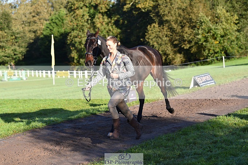 231022-093346-21878 - 502-REBEL.ON.THE.RUN-Ida.Strandberg-TrotUp+SJ