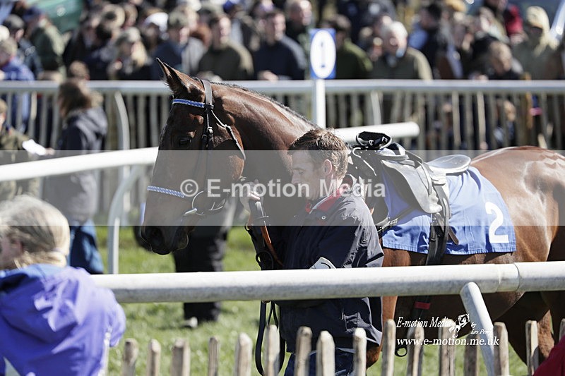 PtP 100423 578 - Old Berkshire Point-to-Point Lockinge 10/04/23