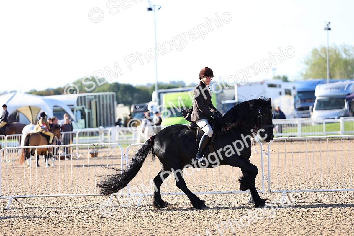 SBM_08781 - Class 302 - Ridden M&M - Large Breeds