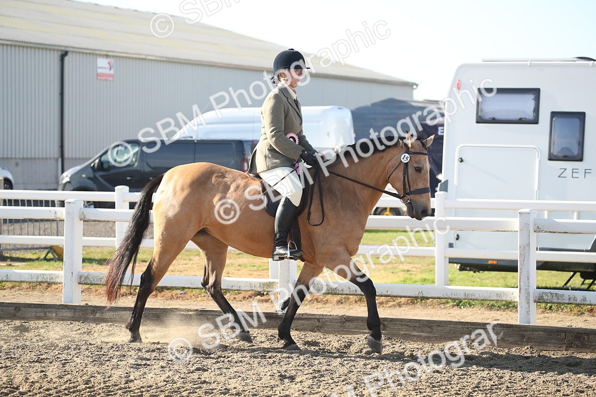 SBM_11609 - Class 502 - Riding Club Horse