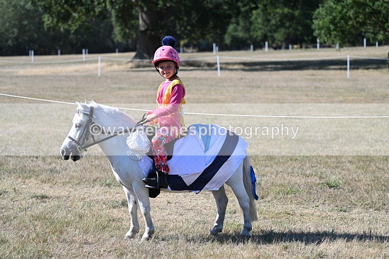 WJ7_2502 - Class 45 Fancy Dress (My Fav)