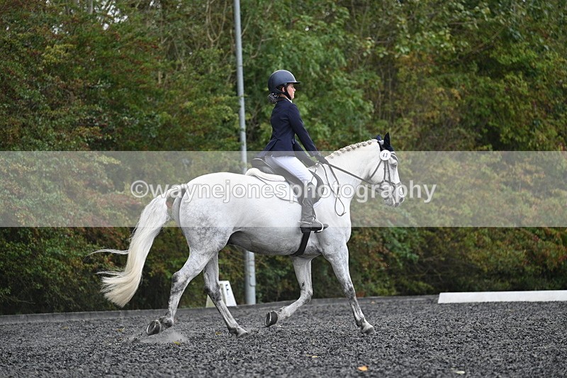 WJ7_6591 - Time 14:49 to 15:14