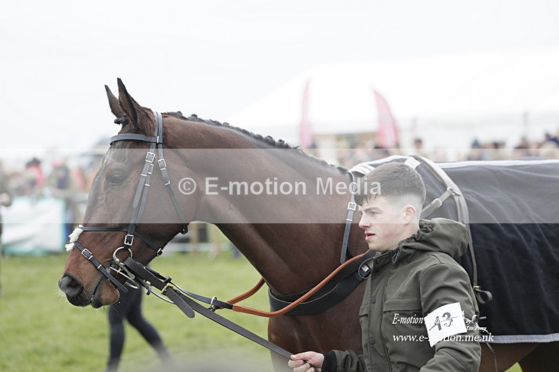 PtP 050323 236 - Blackmore & Sparkford Vale Hunt PtP - Somerset 05/03/23