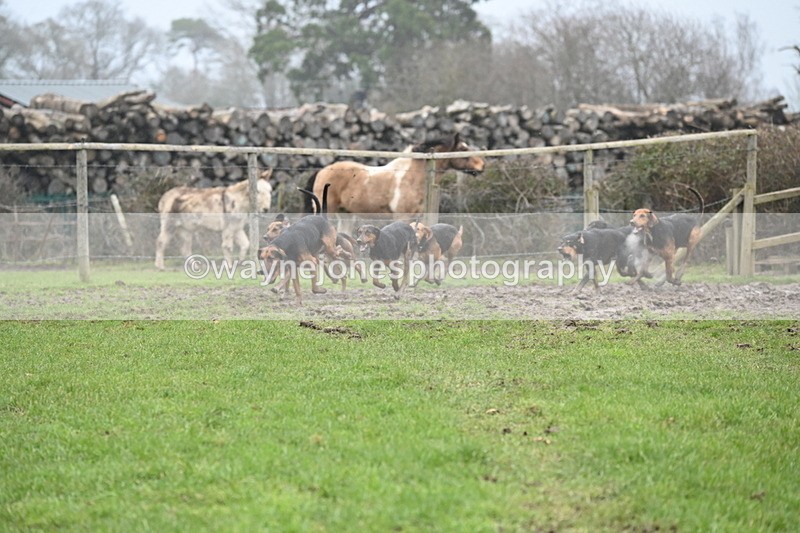 WJ6_5876 - Camera A
