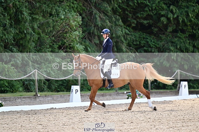 260731A-105807-00167 - Elementary Bronze 10.30 - Break