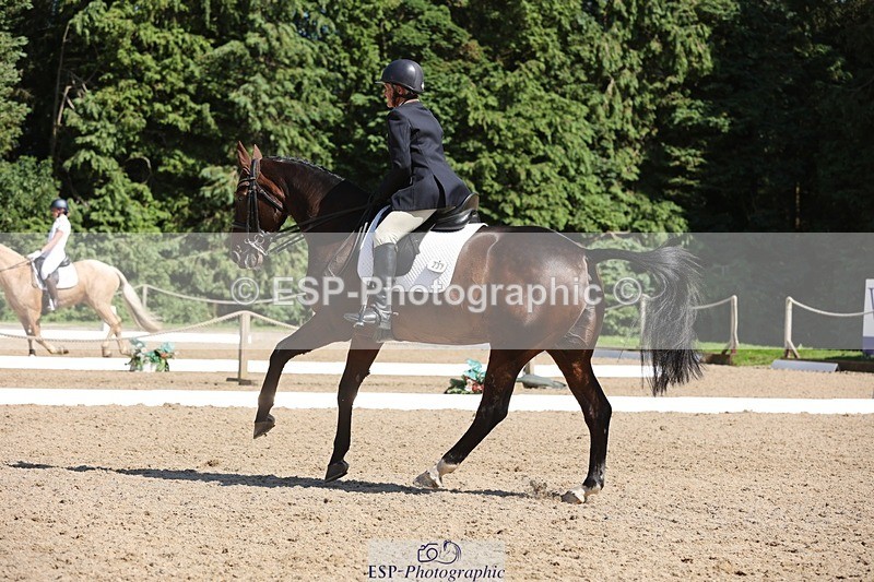 240719-155942-03005 - 237-Sue_Lanz-Wellshead_Foxtrot