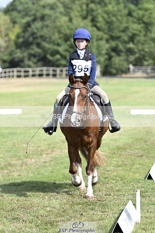 250821A-111946-15259 - DR 11.00 to 12.00