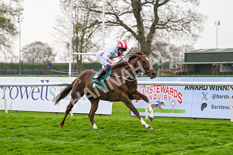 120425-Race 5-Majestic Warrior-1337 - Race 5