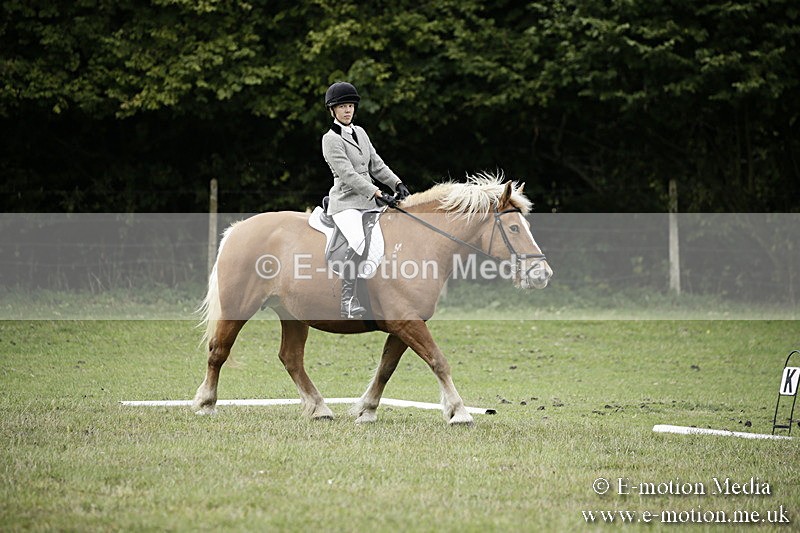 BVR080918 89 - BVRC Novice Dressage & CR 08/09/18