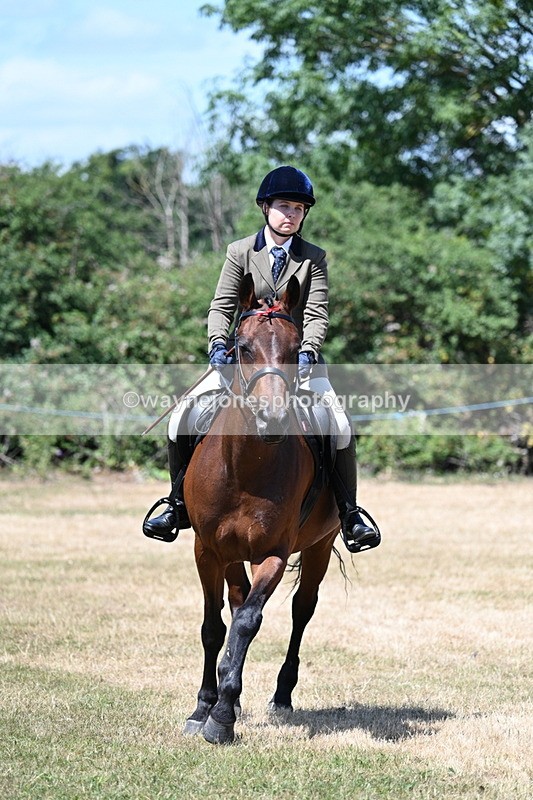 WJ7_3077 - Class 7 Riding Club Show Horse