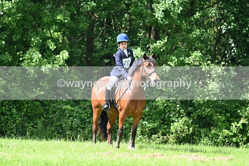 WJ7_1052 - Class 11 Condition & Turnout