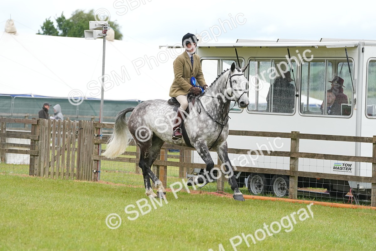 SBM_12833 - Class 97-98 - LIHS BSHA Rising Star Working Show Horse Hunter