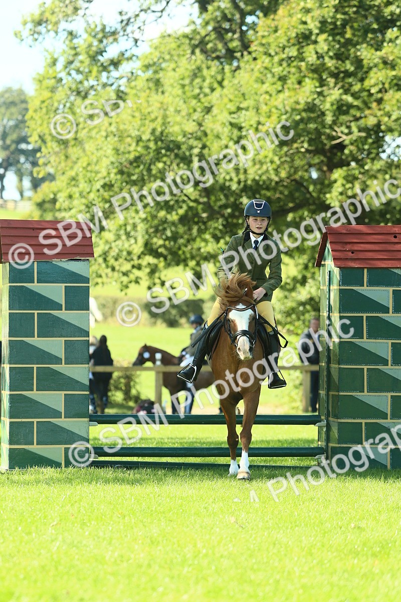 SBM_37452 - S29 - Novice & Newcomers Working Hunter Pony