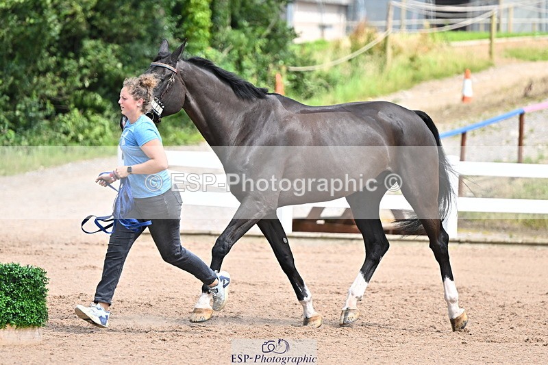 240718A-105304-01511 - Trot Up 12pm to 1pm