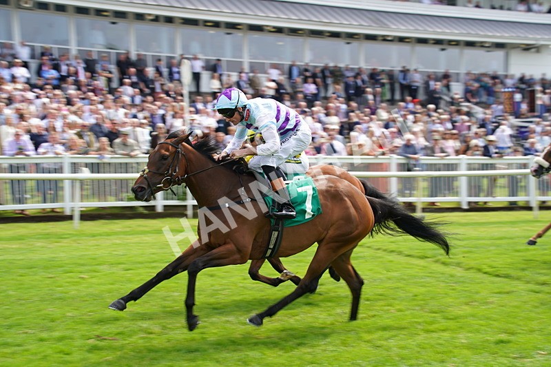 160626-Race 2-Dragon Spin-8 - Race 2 14.50pm PD Hook Gallop Handicap