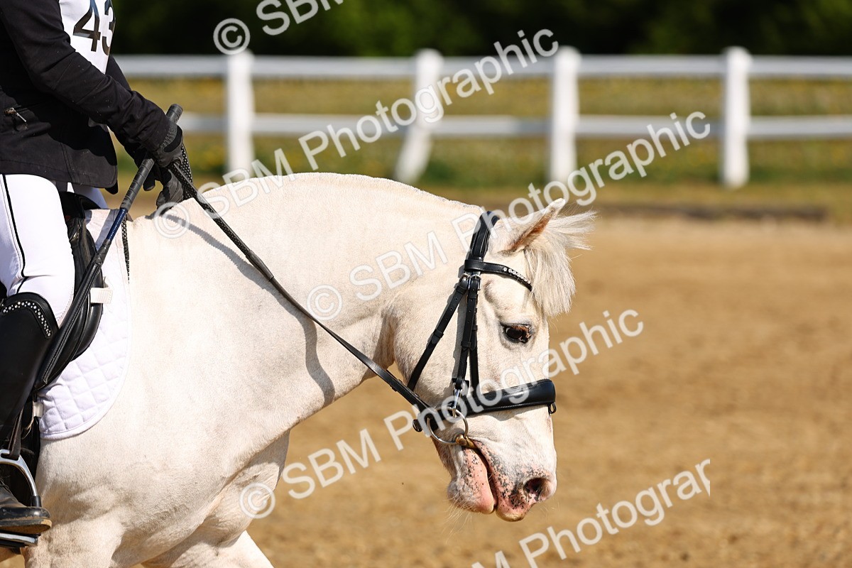 SBM_006707 - Class 2 - 50cm