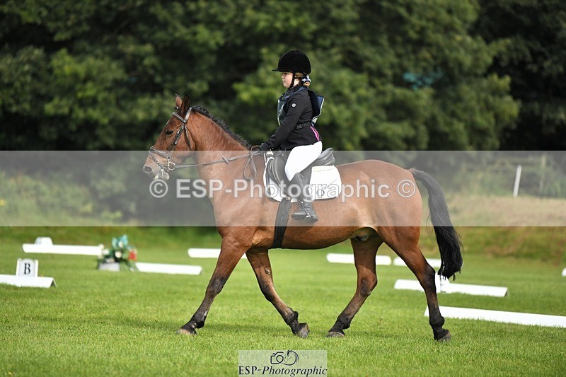 230826-101614-15418 - Sections C & D 10 to End