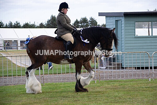 DSC_0217 - Ring 1