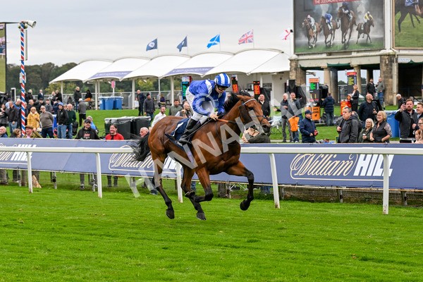 101025-Race 3-Mukhtalif-0227 - Race 3 William Hill Each Way Extra Handicap at York