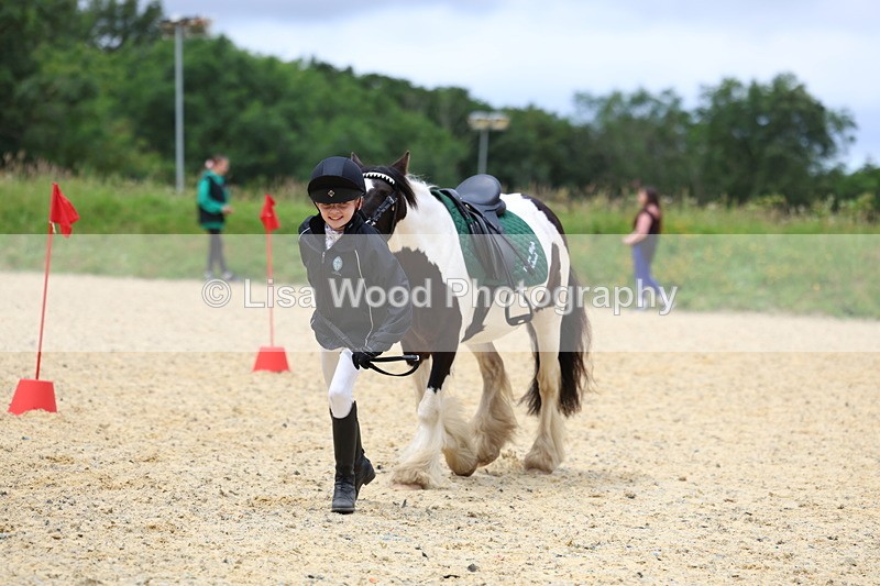 3E7A9651 - Walk trot run