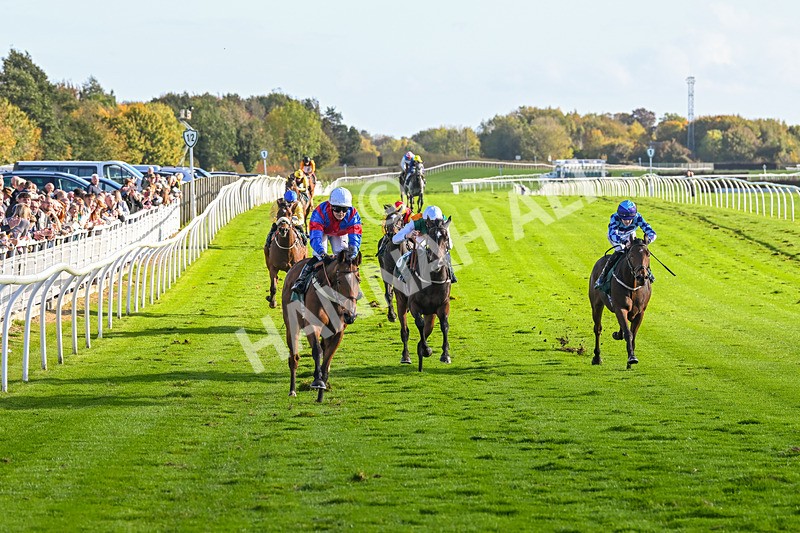 191024-Race 4-Three Dons-4292 - Race 4