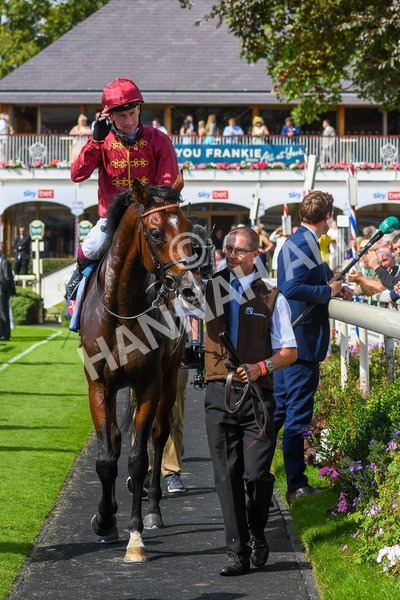 260823-Race 2-Middle Earth-0356 - Race 2 Sky Bet Melrose Handicap