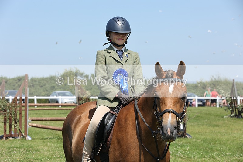 JPP_2945 - Class 21: Working Hunter 60cm