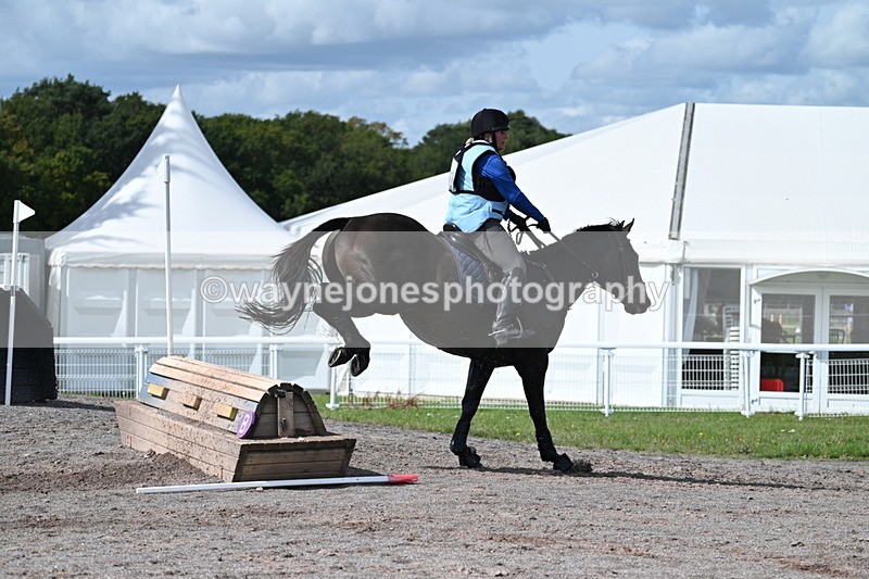 WJ7_1882 - Time 13:17 to 13:53