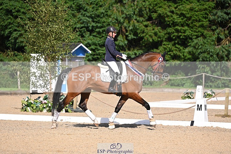 240809-163629-02427 - Novice Gold