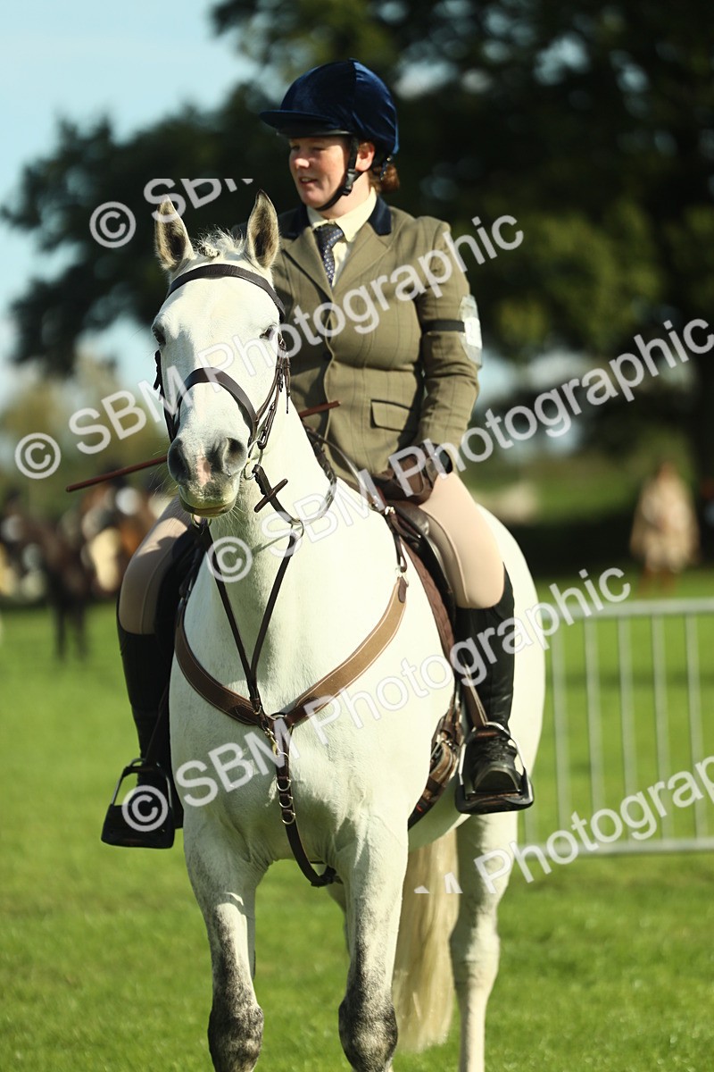 SBM_49821 - S32 - Novice & Newcomers Working Hunter