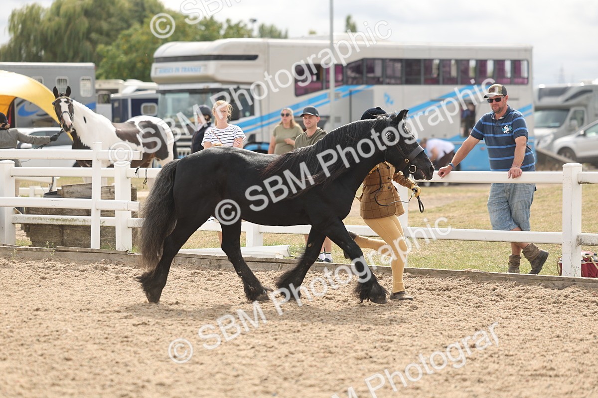 SBM_04928 - Class 20 - IH Veteran