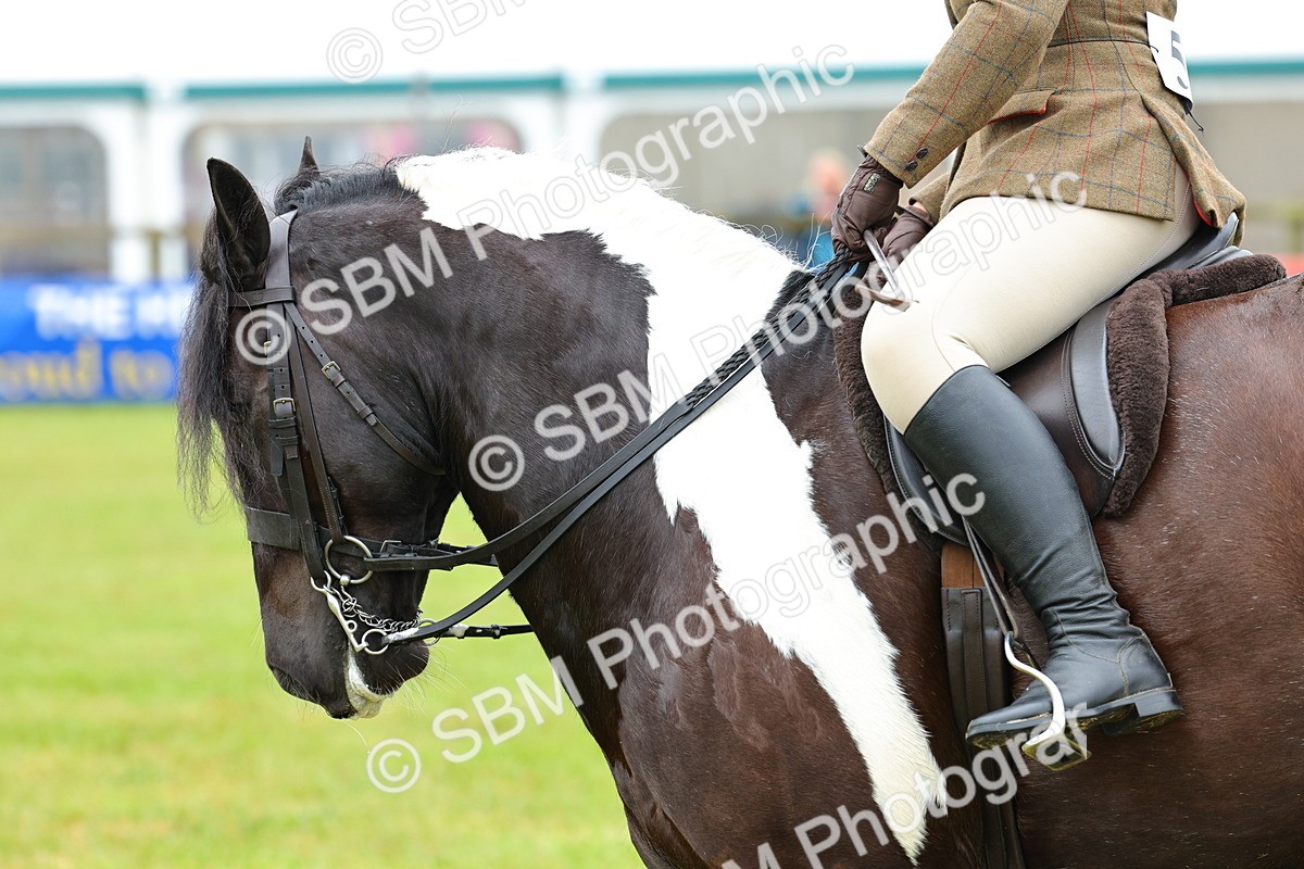 SBM_01221 - Class 1-4 - BSPA Ridden