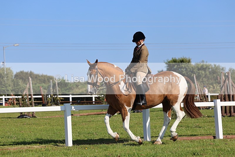IMG_1427 - Class 29:  Ridden Native/Trad Coloured Horse