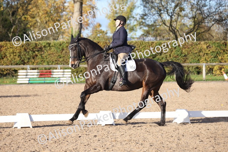 20251102-1311 - Class 9 - Advanced Medium 3