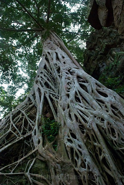  - Cambodia