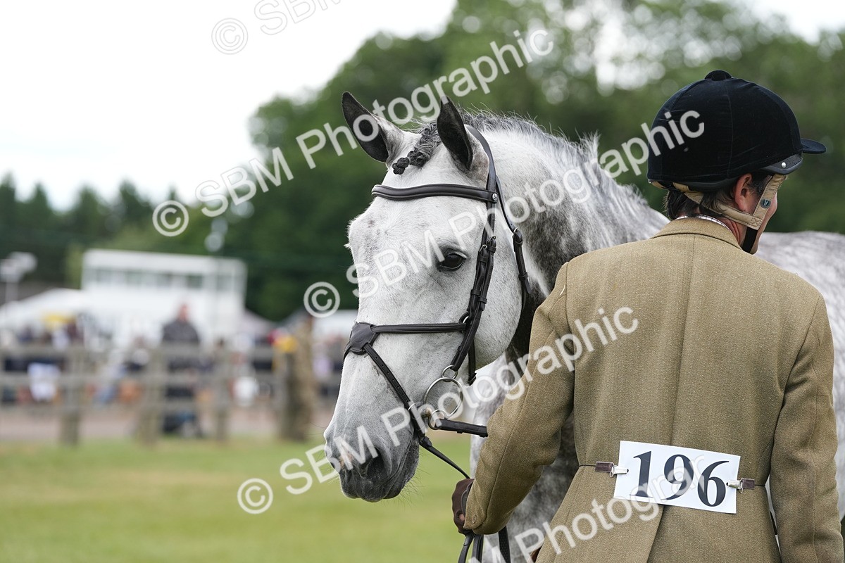 SBM_14892 - Class 100-102 - RIHS Working Hunter