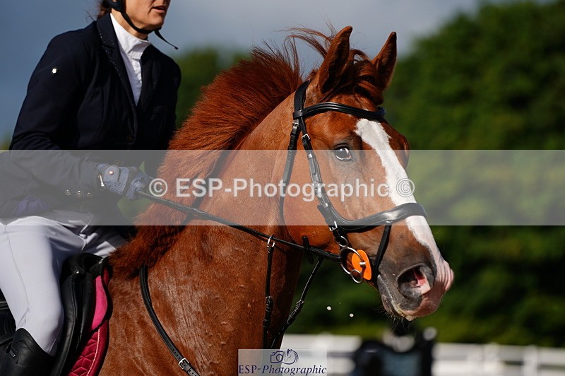 240803A-084814-06389 - Cls 34 British Novice and 90cm Open