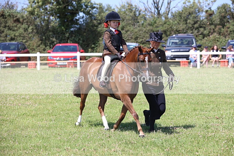 JPP_2295 - Class 20: Tiny Tots Working Hunter Pony