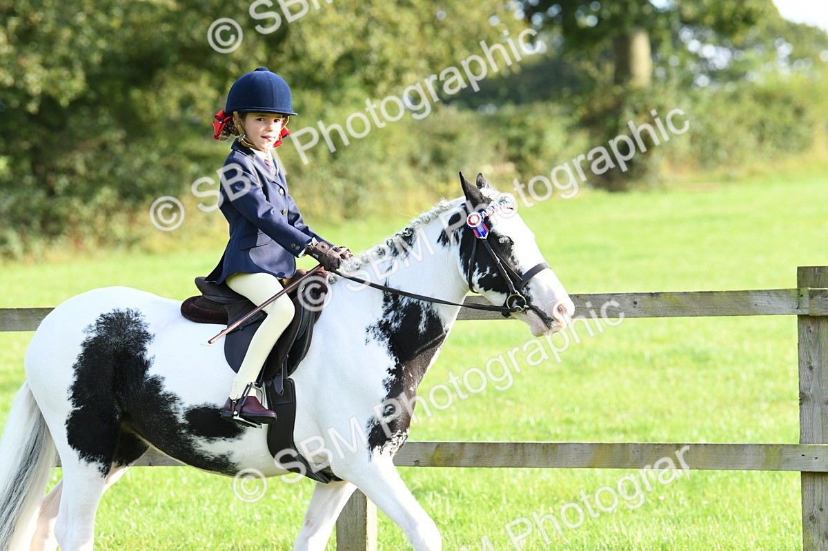 SBM_52365 - S22 - 1st Ridden Show & Show Hunter Pony