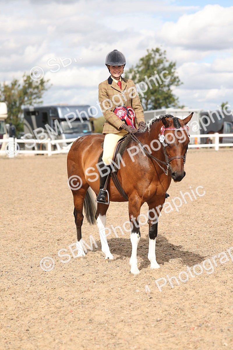 SBM_14685 - Class 307 - Ridden Coloured Pony