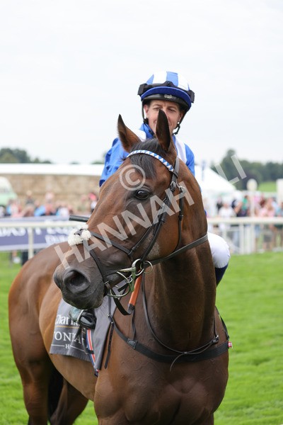 yr20082021r4-36 - Race 4 3.35pm Coolmore Wootton Bassett Nunthorpe Stakes (British Champions Series Race)
