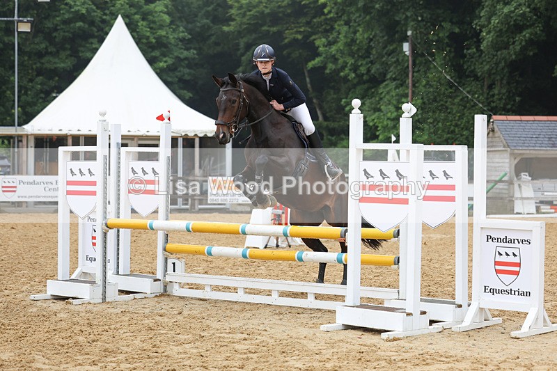 3E7A5460 - Class 4: Senior British Novice/90cm open