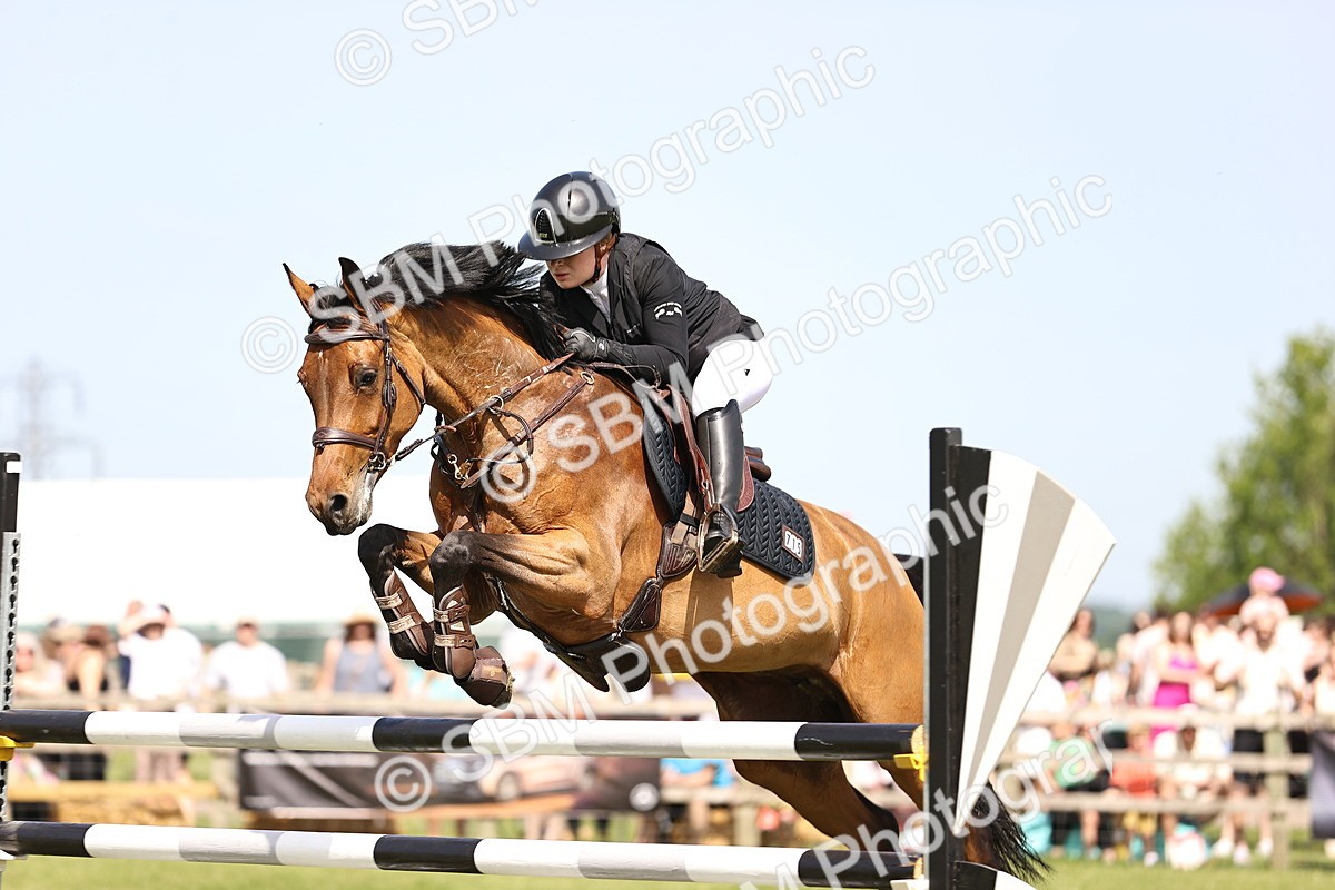 SBM_03094 - Class 201 - British Horse Feedds Speedi Beet HOYS Grade C