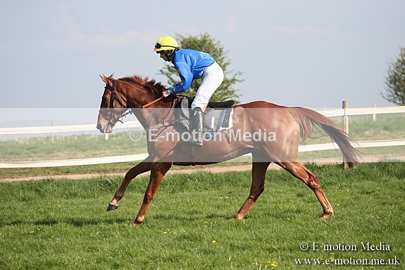 PtP 210418 467 - South & West Wilts Point-to-Point Larkhill 21/04/18