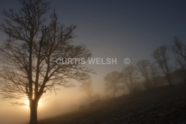 94 - SCOTTISH BORDERS