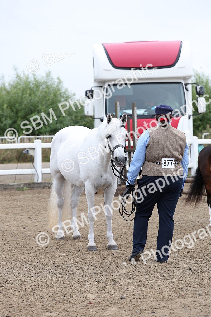 SBM_00053 - Class 50 - Best Turned Out IH