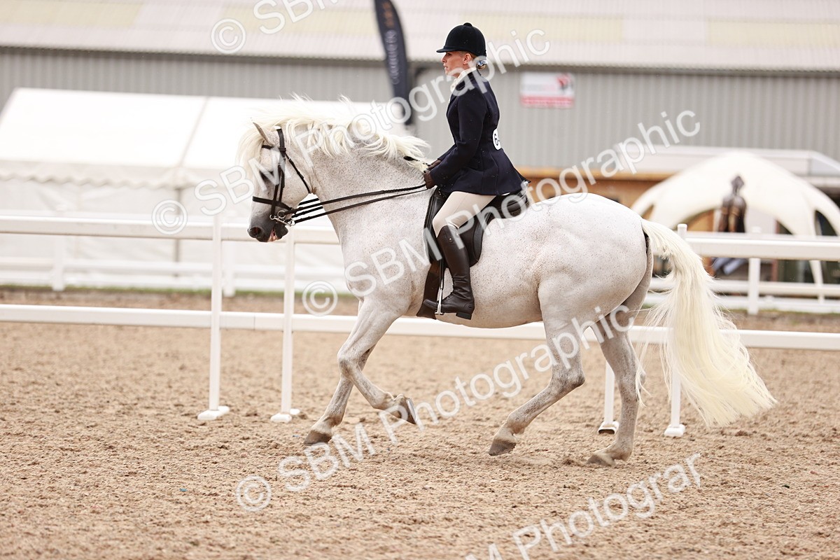 SBM_19007 - Class 422 - Ridden M&M