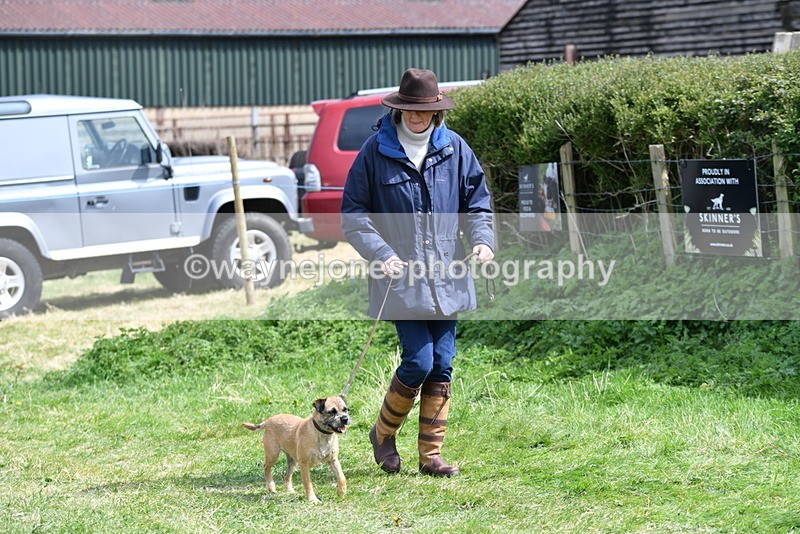 WJ5_0353 - Class 7 Best Terrier